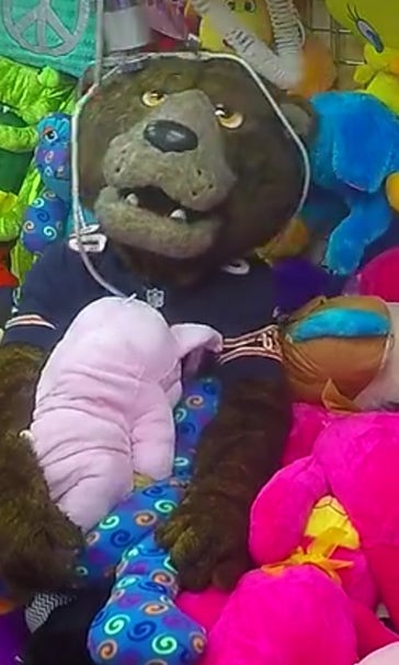 Bears mascot terrifies children in brilliant claw machine prank